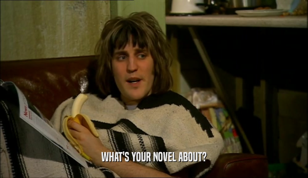 WHAT'S YOUR NOVEL ABOUT?
  