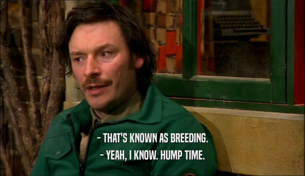 - THAT'S KNOWN AS BREEDING.
 - YEAH, I KNOW. HUMP TIME.
 