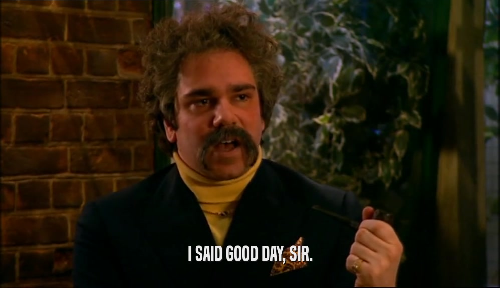 I SAID GOOD DAY, SIR.  