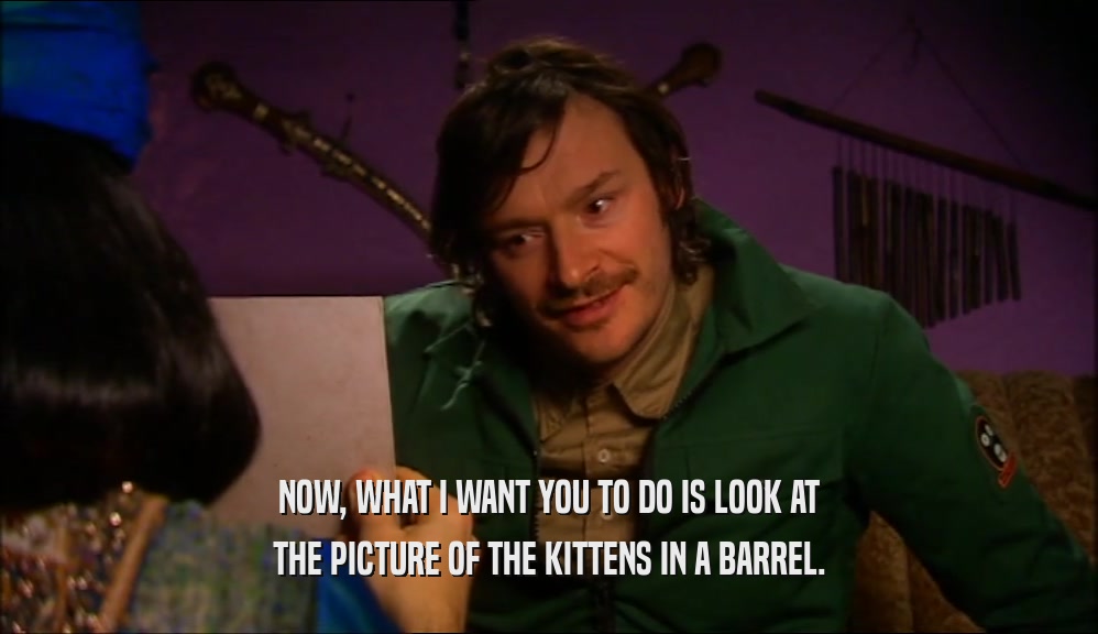 NOW, WHAT I WANT YOU TO DO IS LOOK AT THE PICTURE OF THE KITTENS IN A BARREL. 