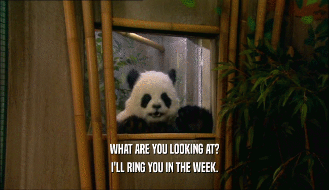 WHAT ARE YOU LOOKING AT? I'LL RING YOU IN THE WEEK. 