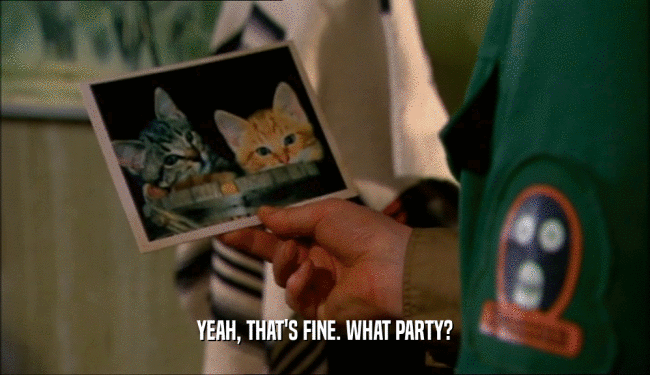 YEAH, THAT'S FINE. WHAT PARTY?  