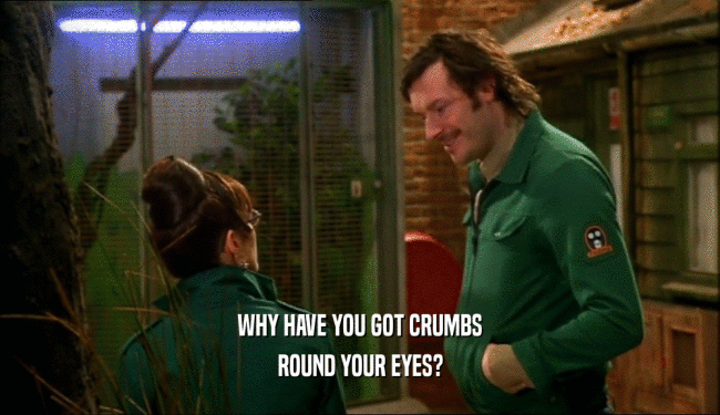 WHY HAVE YOU GOT CRUMBS ROUND YOUR EYES? 