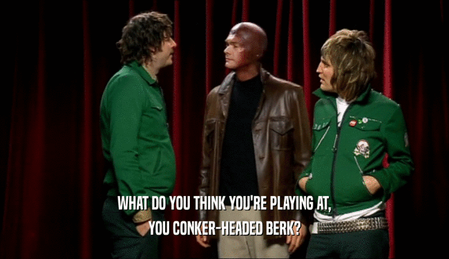 WHAT DO YOU THINK YOU'RE PLAYING AT, YOU CONKER-HEADED BERK? 