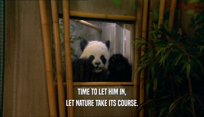 TIME TO LET HIM IN, LET NATURE TAKE ITS COURSE. 