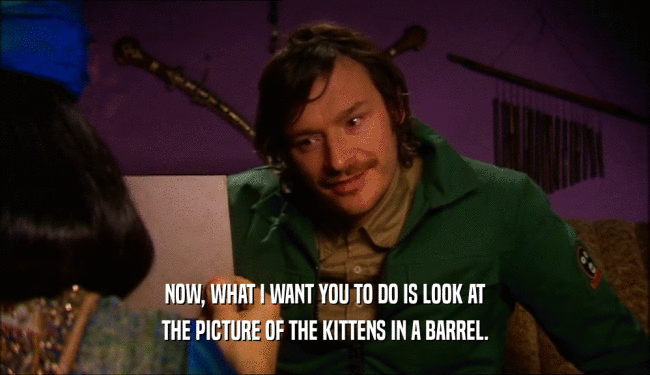 NOW, WHAT I WANT YOU TO DO IS LOOK AT THE PICTURE OF THE KITTENS IN A BARREL. 