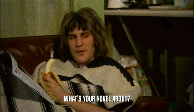 WHAT'S YOUR NOVEL ABOUT?
  