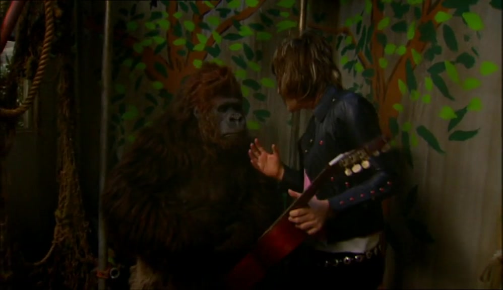 BOLLO, YOU'VE GOTTA HELP ME. I NEED A GUITARIST FOR TONIGHT'S GIG. 