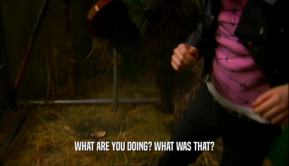 WHAT ARE YOU DOING? WHAT WAS THAT?  