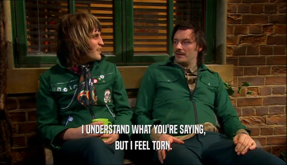 I UNDERSTAND WHAT YOU'RE SAYING, BUT I FEEL TORN. 