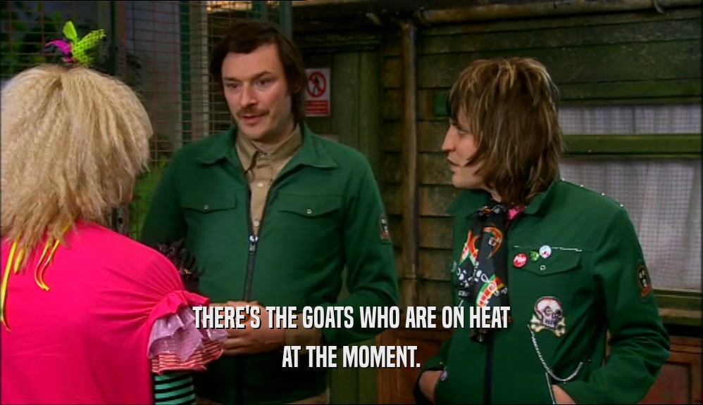 THERE'S THE GOATS WHO ARE ON HEAT AT THE MOMENT. 