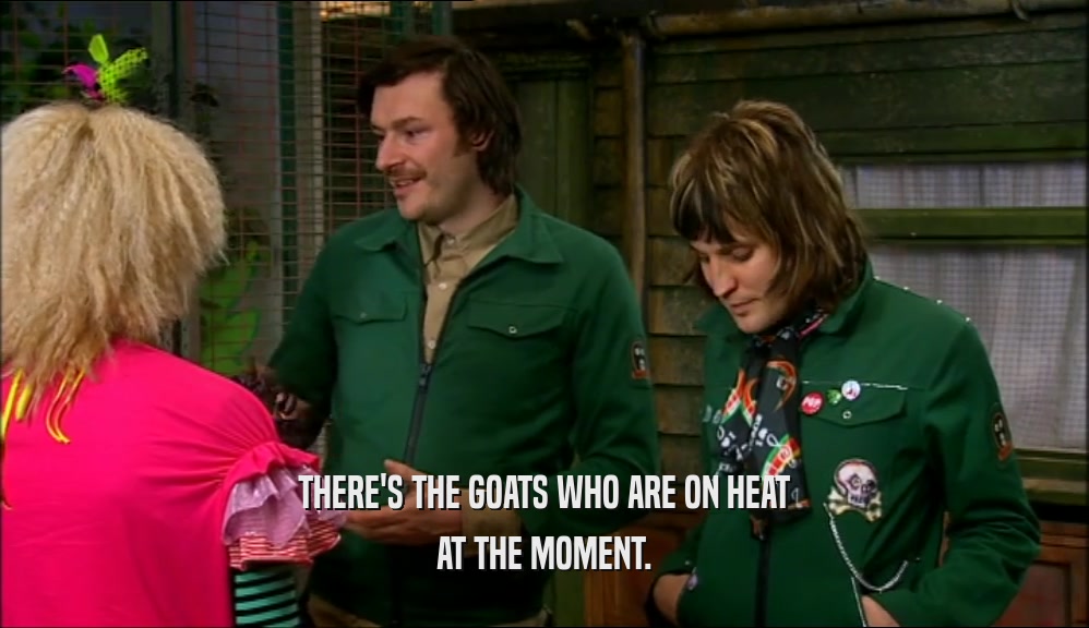 THERE'S THE GOATS WHO ARE ON HEAT AT THE MOMENT. 