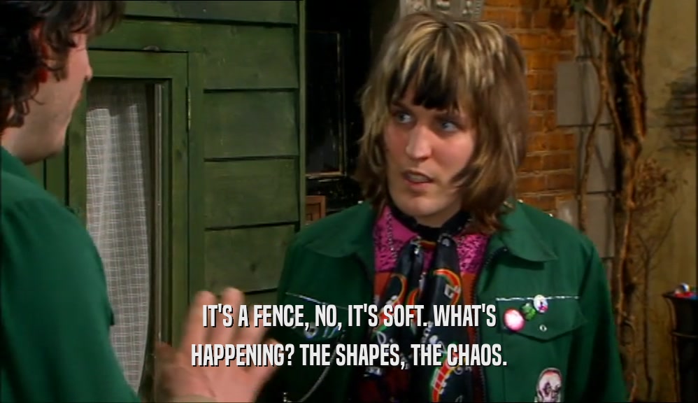 IT'S A FENCE, NO, IT'S SOFT. WHAT'S HAPPENING? THE SHAPES, THE CHAOS. 
