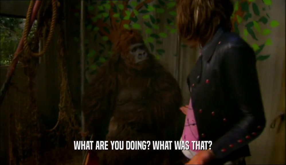 WHAT ARE YOU DOING? WHAT WAS THAT?  