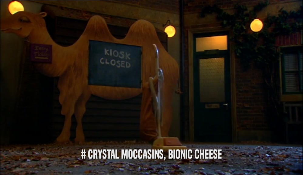 # CRYSTAL MOCCASINS, BIONIC CHEESE  