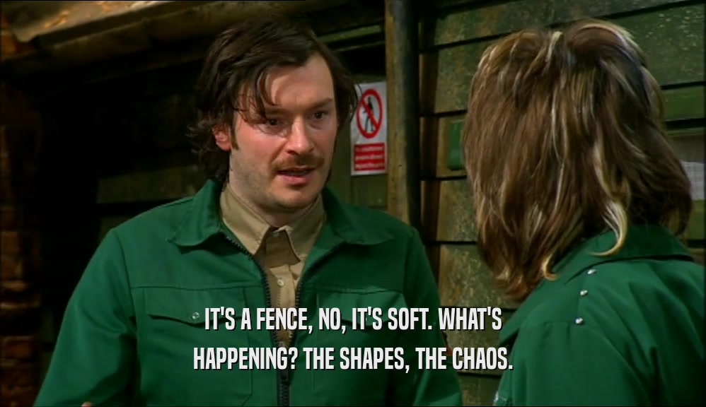 IT'S A FENCE, NO, IT'S SOFT. WHAT'S HAPPENING? THE SHAPES, THE CHAOS. 