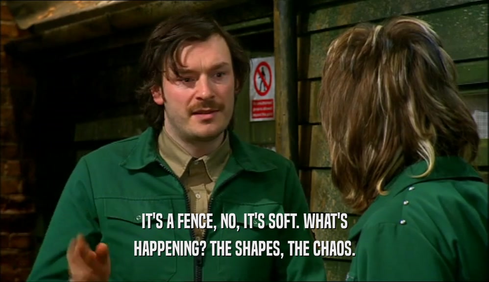 IT'S A FENCE, NO, IT'S SOFT. WHAT'S HAPPENING? THE SHAPES, THE CHAOS. 