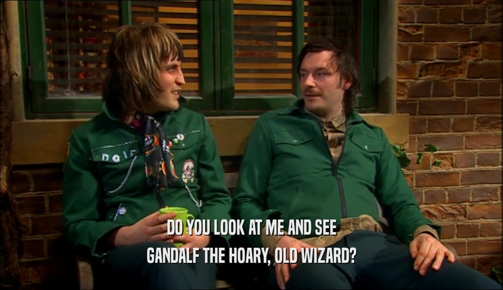 DO YOU LOOK AT ME AND SEE GANDALF THE HOARY, OLD WIZARD? 