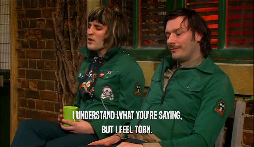 I UNDERSTAND WHAT YOU'RE SAYING, BUT I FEEL TORN. 