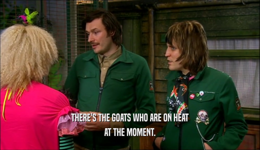 THERE'S THE GOATS WHO ARE ON HEAT AT THE MOMENT. 