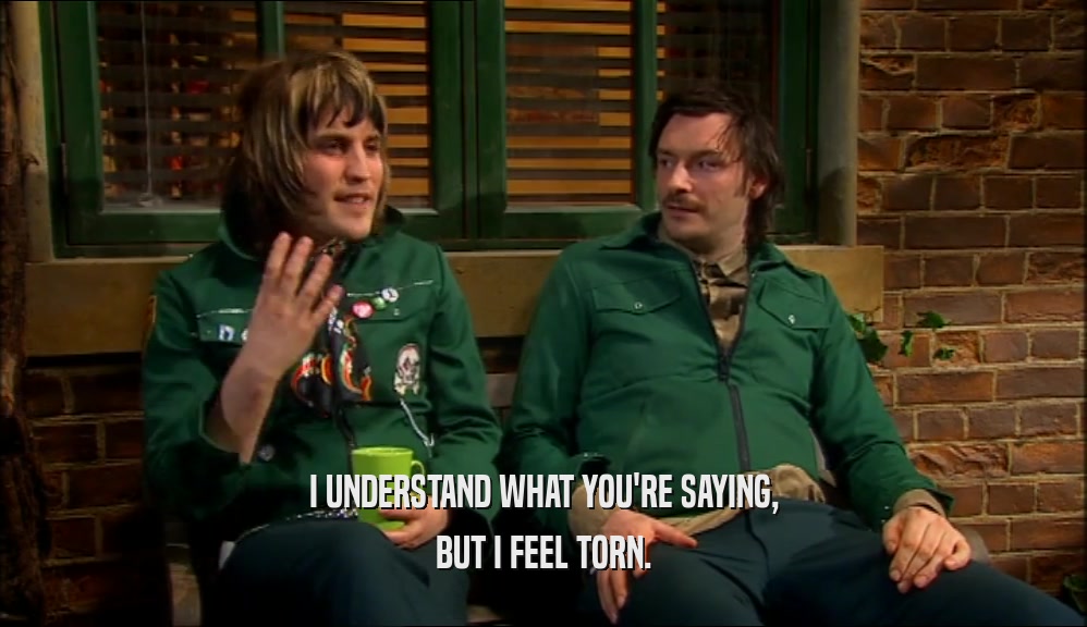 I UNDERSTAND WHAT YOU'RE SAYING, BUT I FEEL TORN. 