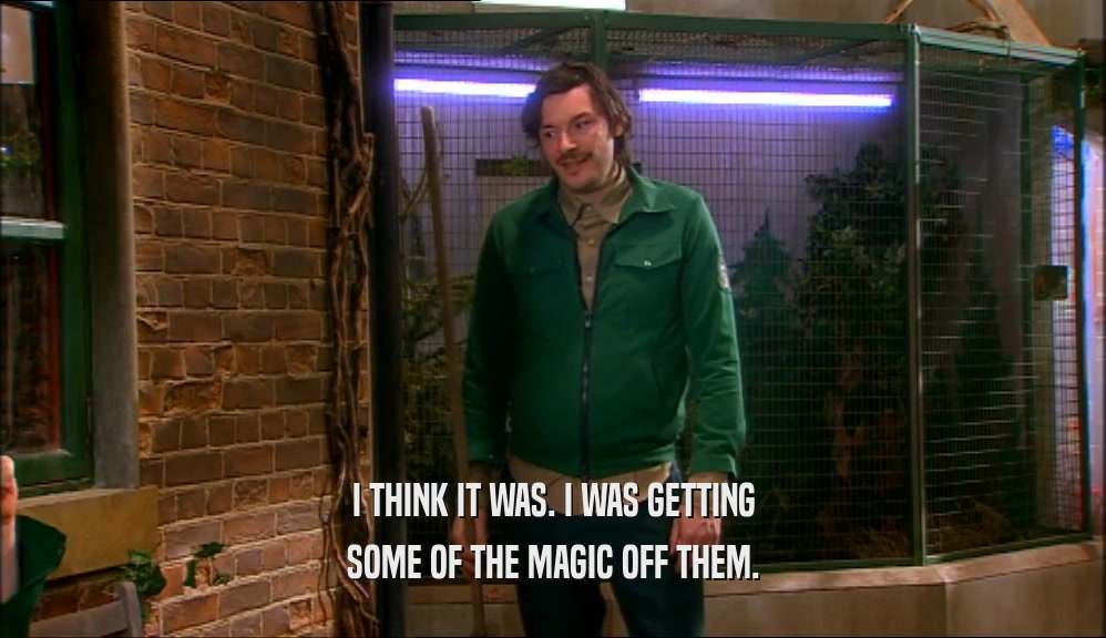 I THINK IT WAS. I WAS GETTING SOME OF THE MAGIC OFF THEM. 