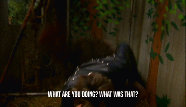 WHAT ARE YOU DOING? WHAT WAS THAT?  