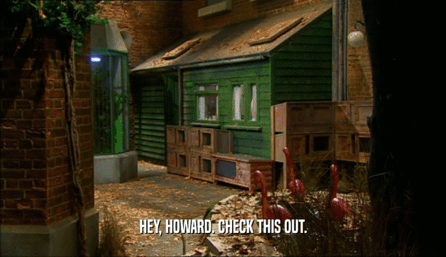 HEY, HOWARD. CHECK THIS OUT.  
