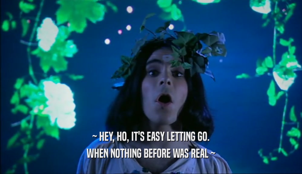~ HEY, HO, IT'S EASY LETTING GO. WHEN NOTHING BEFORE WAS REAL ~ 