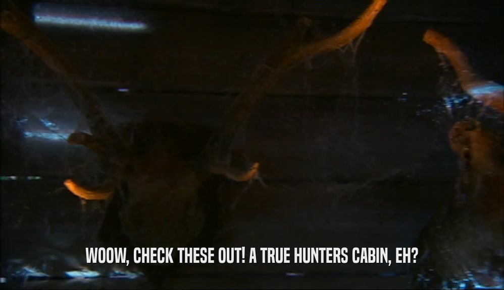 WOOW, CHECK THESE OUT! A TRUE HUNTERS CABIN, EH?  