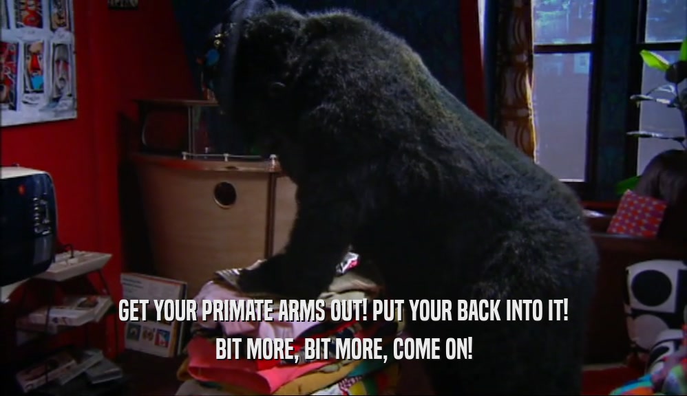 GET YOUR PRIMATE ARMS OUT! PUT YOUR BACK INTO IT! BIT MORE, BIT MORE, COME ON! 