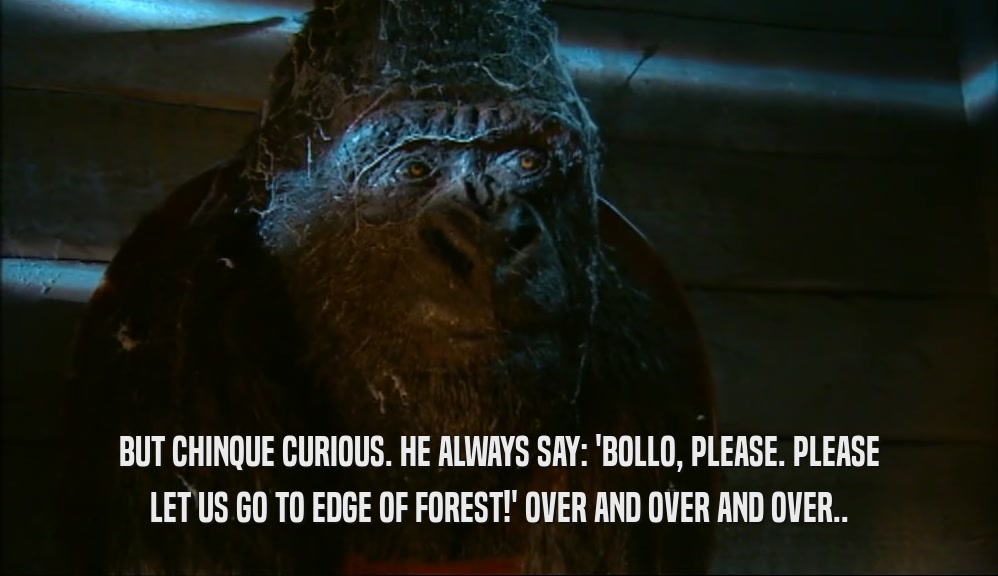 BUT CHINQUE CURIOUS. HE ALWAYS SAY: 'BOLLO, PLEASE. PLEASE LET US GO TO EDGE OF FOREST!' OVER AND OVER AND OVER.. 