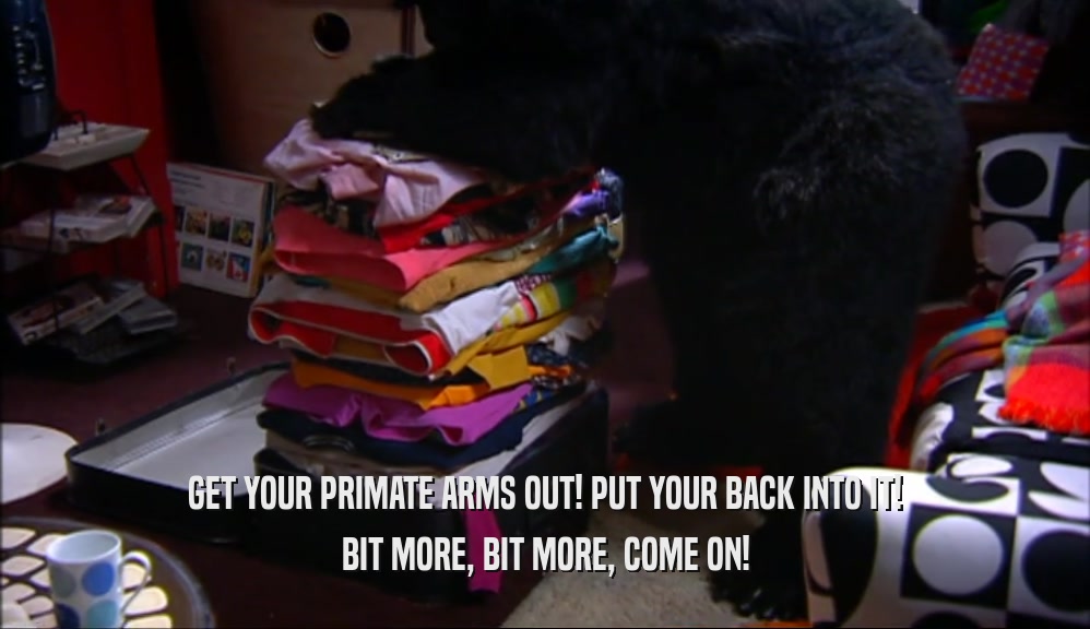 GET YOUR PRIMATE ARMS OUT! PUT YOUR BACK INTO IT! BIT MORE, BIT MORE, COME ON! 
