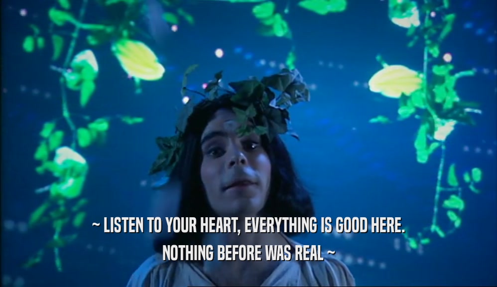 ~ LISTEN TO YOUR HEART, EVERYTHING IS GOOD HERE. NOTHING BEFORE WAS REAL ~ 