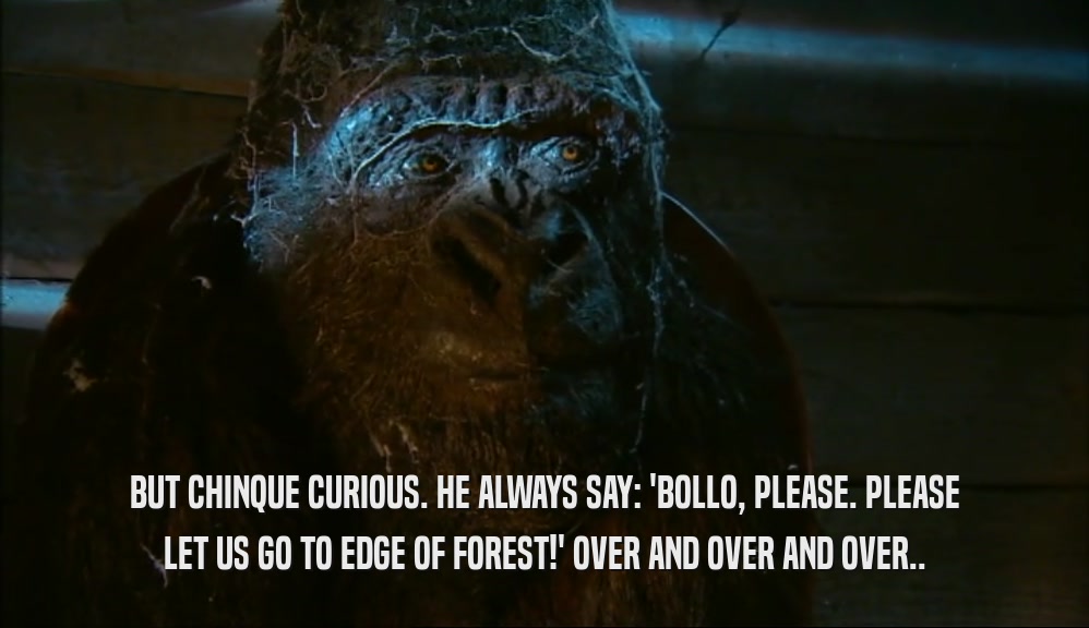 BUT CHINQUE CURIOUS. HE ALWAYS SAY: 'BOLLO, PLEASE. PLEASE LET US GO TO EDGE OF FOREST!' OVER AND OVER AND OVER.. 