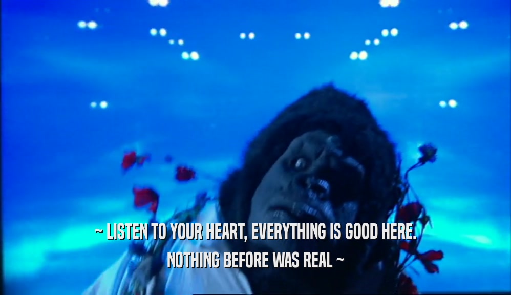 ~ LISTEN TO YOUR HEART, EVERYTHING IS GOOD HERE. NOTHING BEFORE WAS REAL ~ 