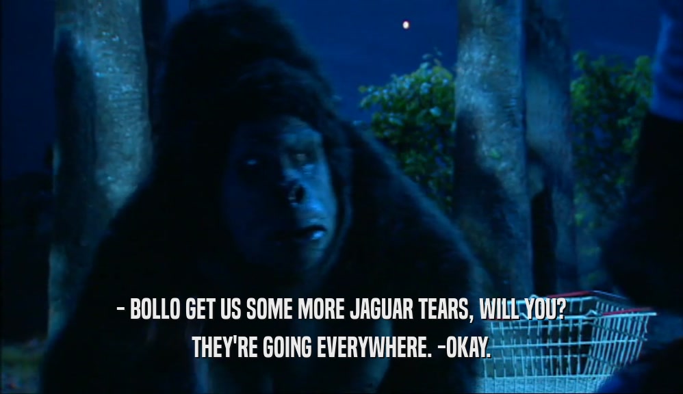 - BOLLO GET US SOME MORE JAGUAR TEARS, WILL YOU? THEY'RE GOING EVERYWHERE. -OKAY. 