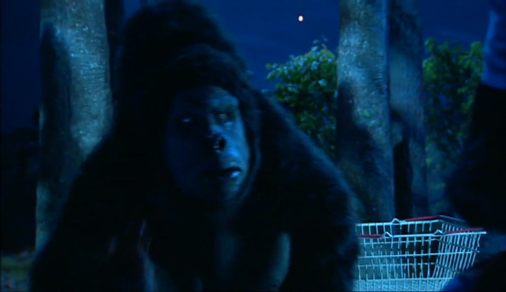 - BOLLO GET US SOME MORE JAGUAR TEARS, WILL YOU? THEY'RE GOING EVERYWHERE. -OKAY. 