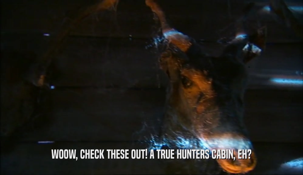 WOOW, CHECK THESE OUT! A TRUE HUNTERS CABIN, EH?  