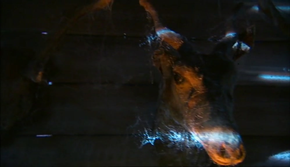 WOOW, CHECK THESE OUT! A TRUE HUNTERS CABIN, EH?  