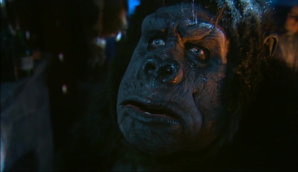 BUT CHINQUE CURIOUS. HE ALWAYS SAY: 'BOLLO, PLEASE. PLEASE LET US GO TO EDGE OF FOREST!' OVER AND OVER AND OVER.. 