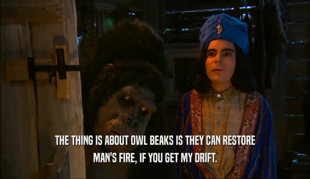 THE THING IS ABOUT OWL BEAKS IS THEY CAN RESTORE MAN'S FIRE, IF YOU GET MY DRIFT. 