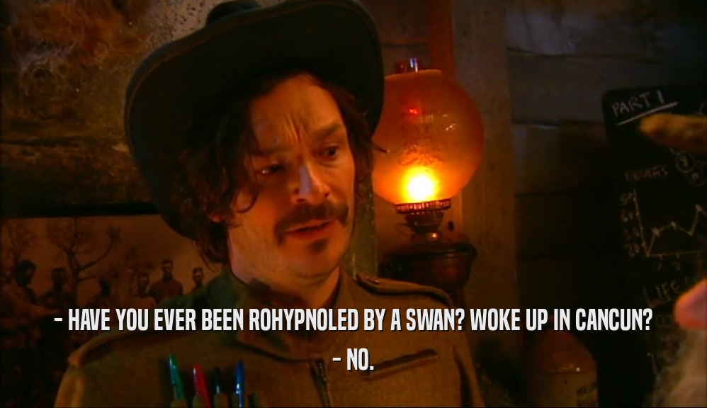 - HAVE YOU EVER BEEN ROHYPNOLED BY A SWAN? WOKE UP IN CANCUN? - NO. 