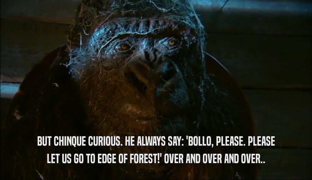 BUT CHINQUE CURIOUS. HE ALWAYS SAY: 'BOLLO, PLEASE. PLEASE LET US GO TO EDGE OF FOREST!' OVER AND OVER AND OVER.. 