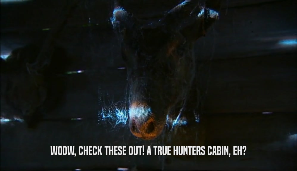 WOOW, CHECK THESE OUT! A TRUE HUNTERS CABIN, EH?  