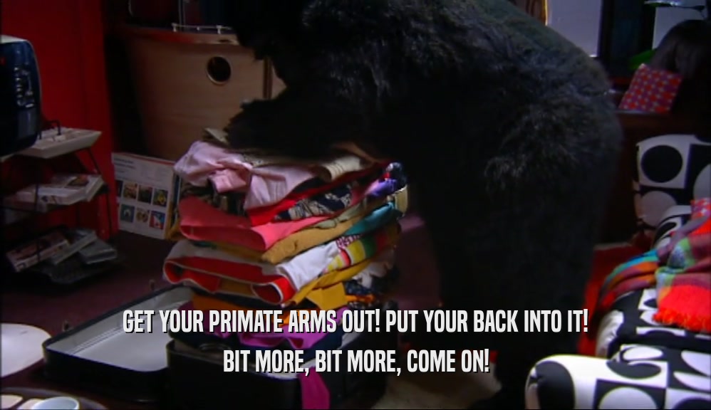 GET YOUR PRIMATE ARMS OUT! PUT YOUR BACK INTO IT! BIT MORE, BIT MORE, COME ON! 