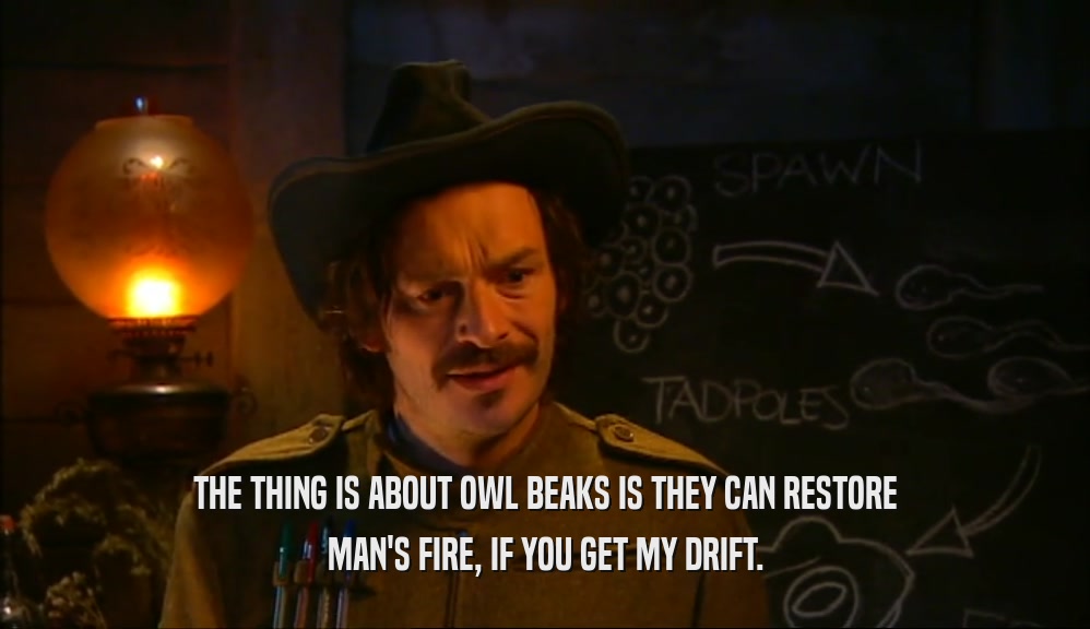 THE THING IS ABOUT OWL BEAKS IS THEY CAN RESTORE MAN'S FIRE, IF YOU GET MY DRIFT. 