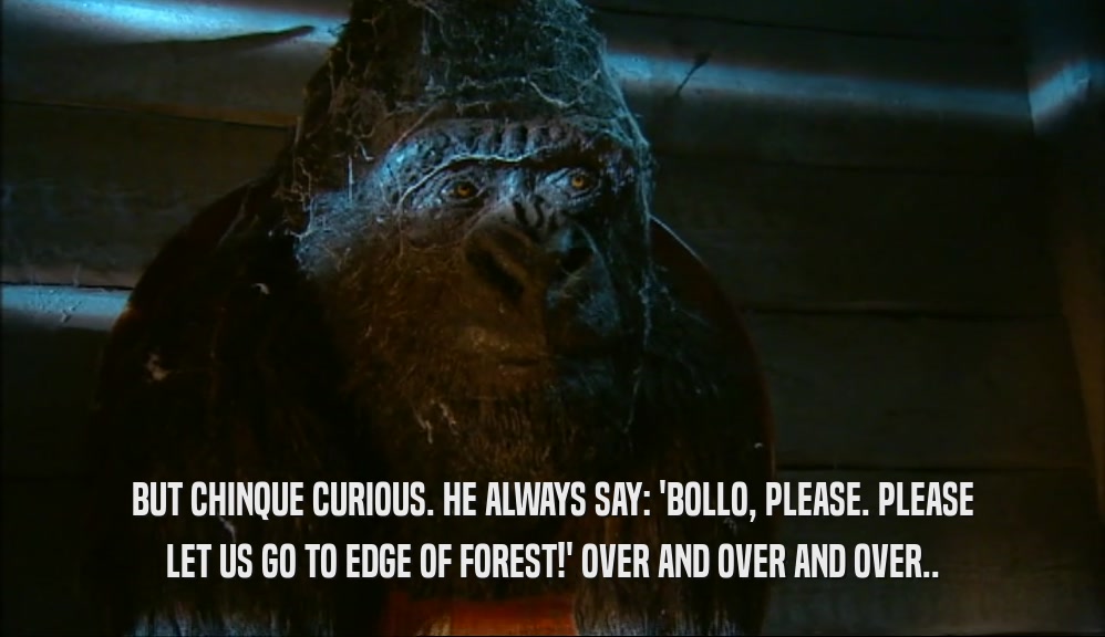 BUT CHINQUE CURIOUS. HE ALWAYS SAY: 'BOLLO, PLEASE. PLEASE LET US GO TO EDGE OF FOREST!' OVER AND OVER AND OVER.. 