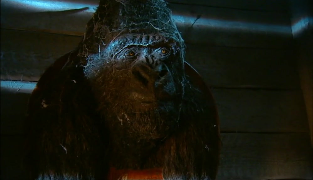 BUT CHINQUE CURIOUS. HE ALWAYS SAY: 'BOLLO, PLEASE. PLEASE LET US GO TO EDGE OF FOREST!' OVER AND OVER AND OVER.. 