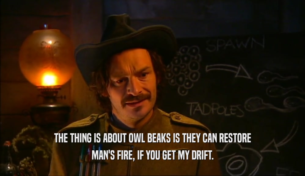 THE THING IS ABOUT OWL BEAKS IS THEY CAN RESTORE MAN'S FIRE, IF YOU GET MY DRIFT. 